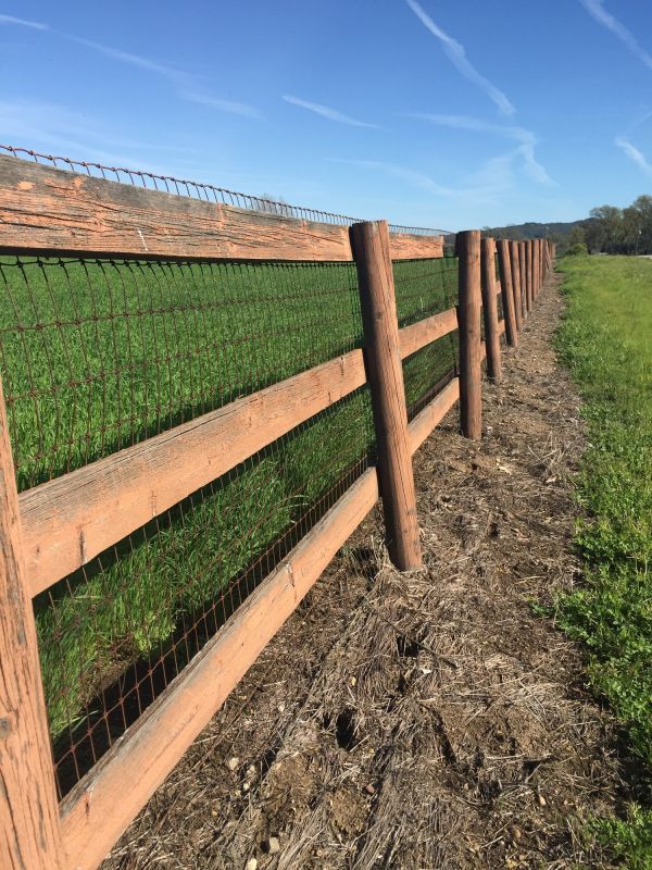 Farm Field Fence